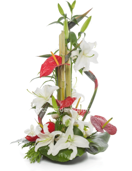 Composizione  stilizzata