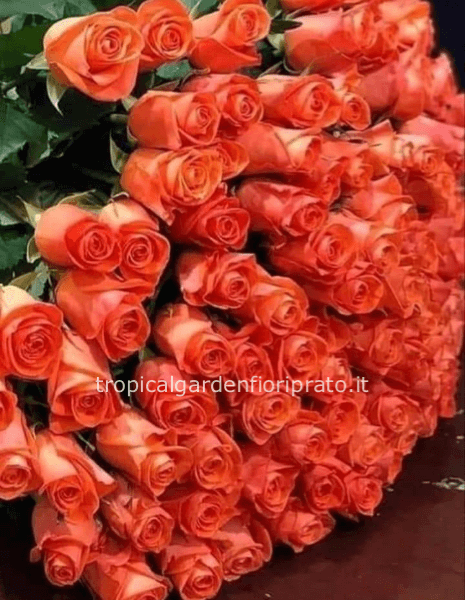 Rose arancio a gambo lungo da comporre in mazzo per numero di steli.