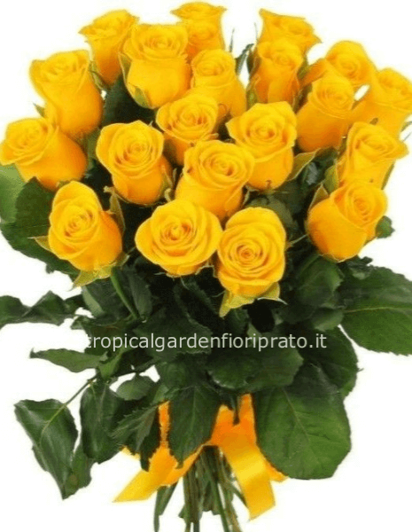 Rose gialle da comporre in mazzo per numero di steli.