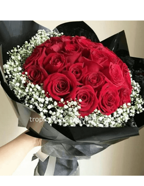 Mazzo compatto con rose rosse  boccio grande e gypsofila