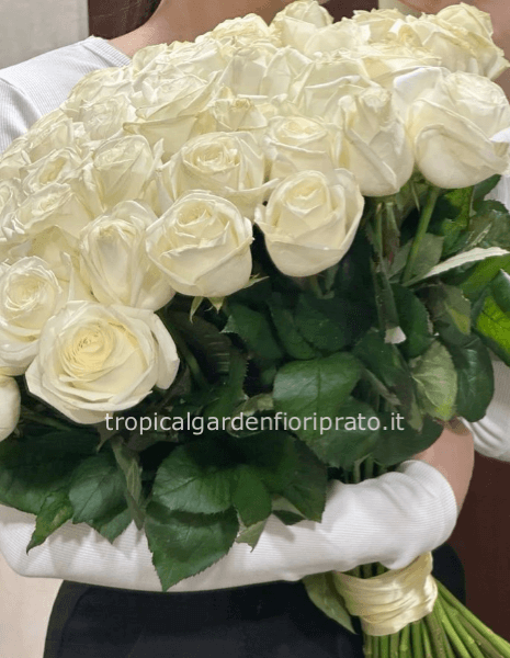 50 rose bianche a gambo lungo