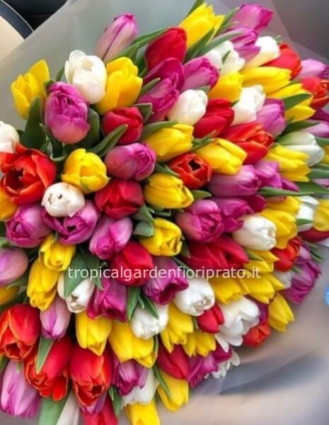 Bouquet 50 tulipani