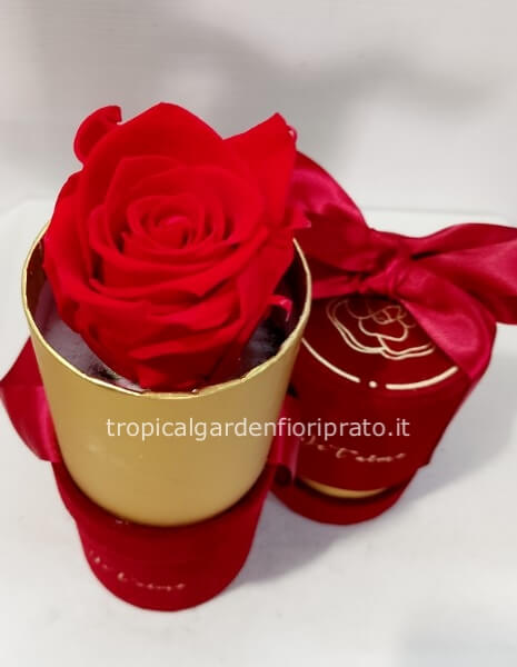 Cofanetto in velluto con rosa rossa XL stabilizzata