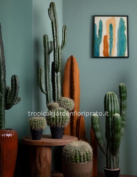 Piante  grasse artificiali grandi da arredamento