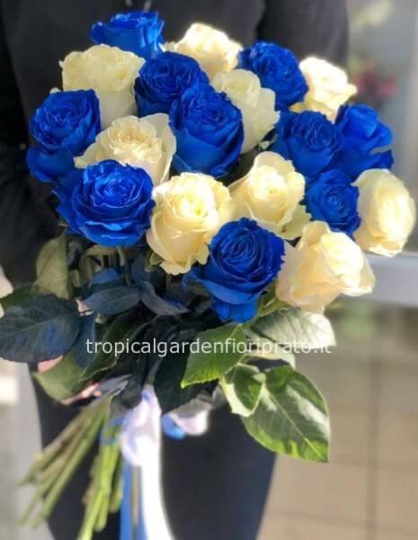 Rose a stelo lungo bianche e blu